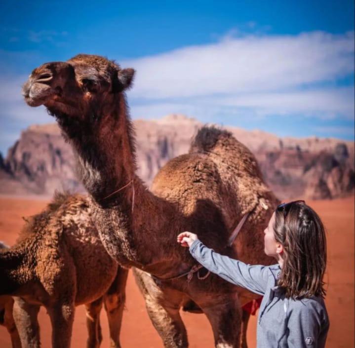 Joy Of Life - Wadi Rum Camp Luaran gambar